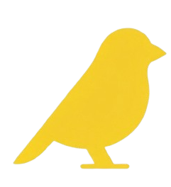 Canary